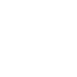 Dünya Çağı amblemi