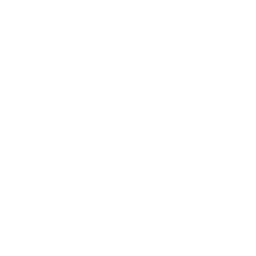 Güneş Çağı amblemi